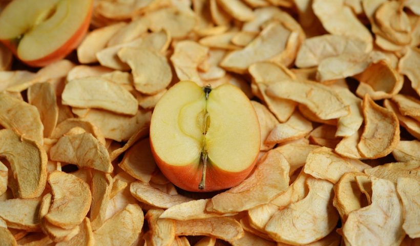 suszarka do owoców i warzyw